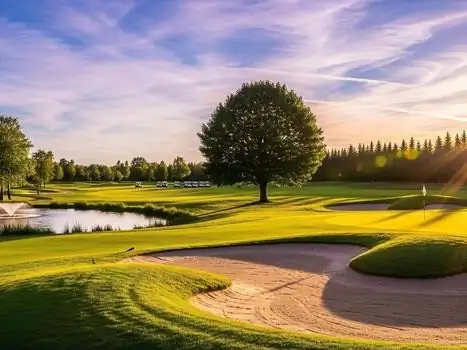Green al tramonto con grande albero e bunker